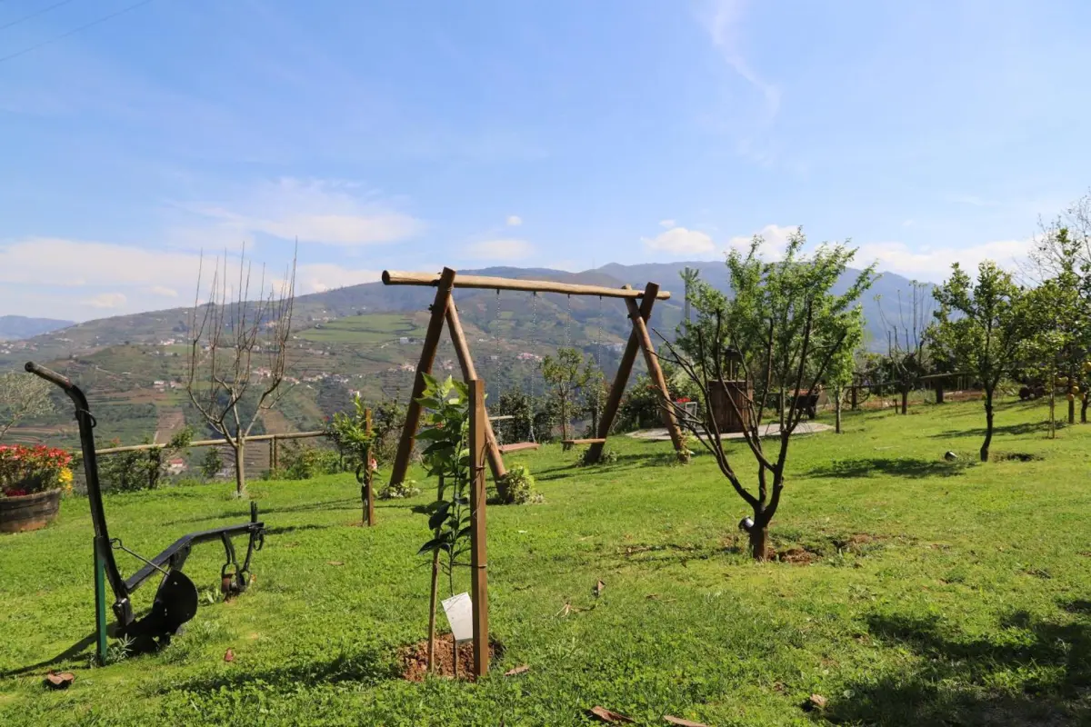 Discover the Casa Vale do Douro: The Gem of Portuguese Hospitality - Imagem 28