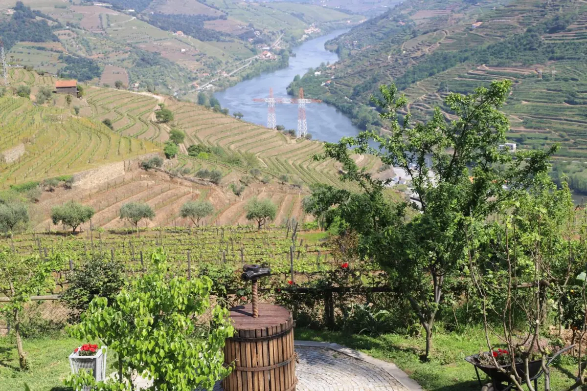 Discover the Casa Vale do Douro: The Gem of Portuguese Hospitality - Imagem 32