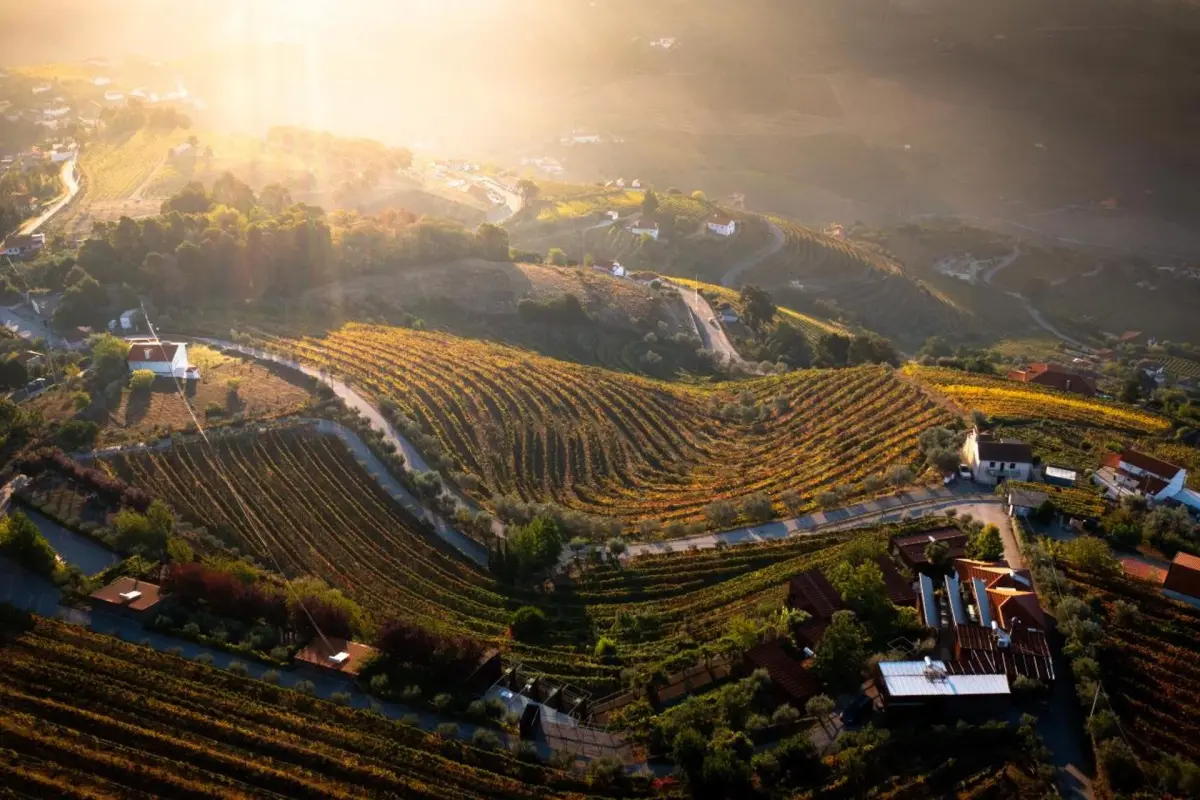 Discover the Casa Vale do Douro: The Gem of Portuguese Hospitality - Imagem 63