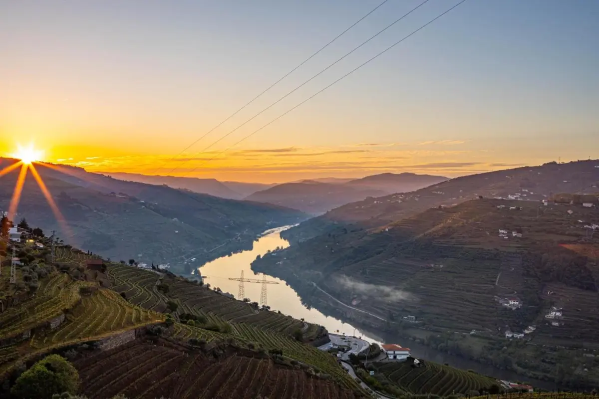 Discover the Casa Vale do Douro: The Gem of Portuguese Hospitality - Imagem 67
