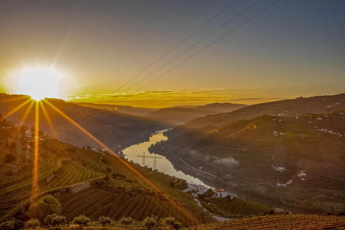 Discover the Casa Vale do Douro: The Gem of Portuguese Hospitality - Imagem 68
