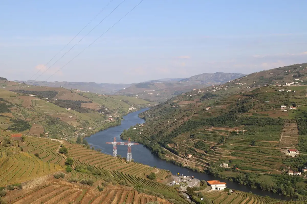 Discover the Casa Vale do Douro: The Gem of Portuguese Hospitality - Imagem 71