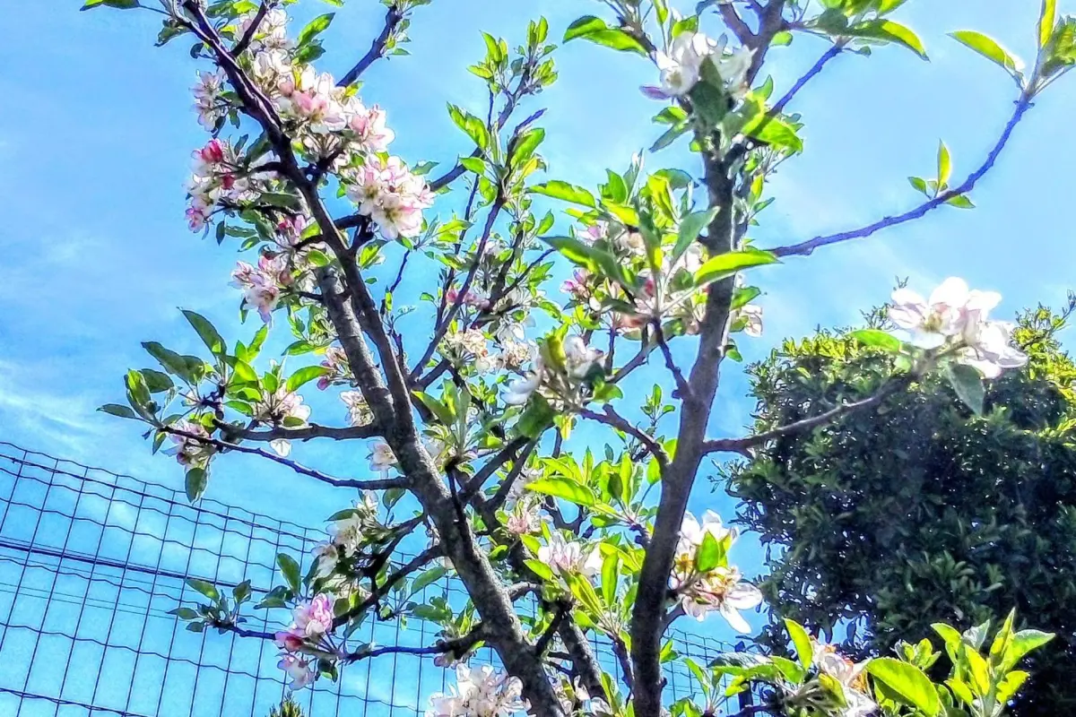 Casa Vale do Rio Ovil - Imagem 18