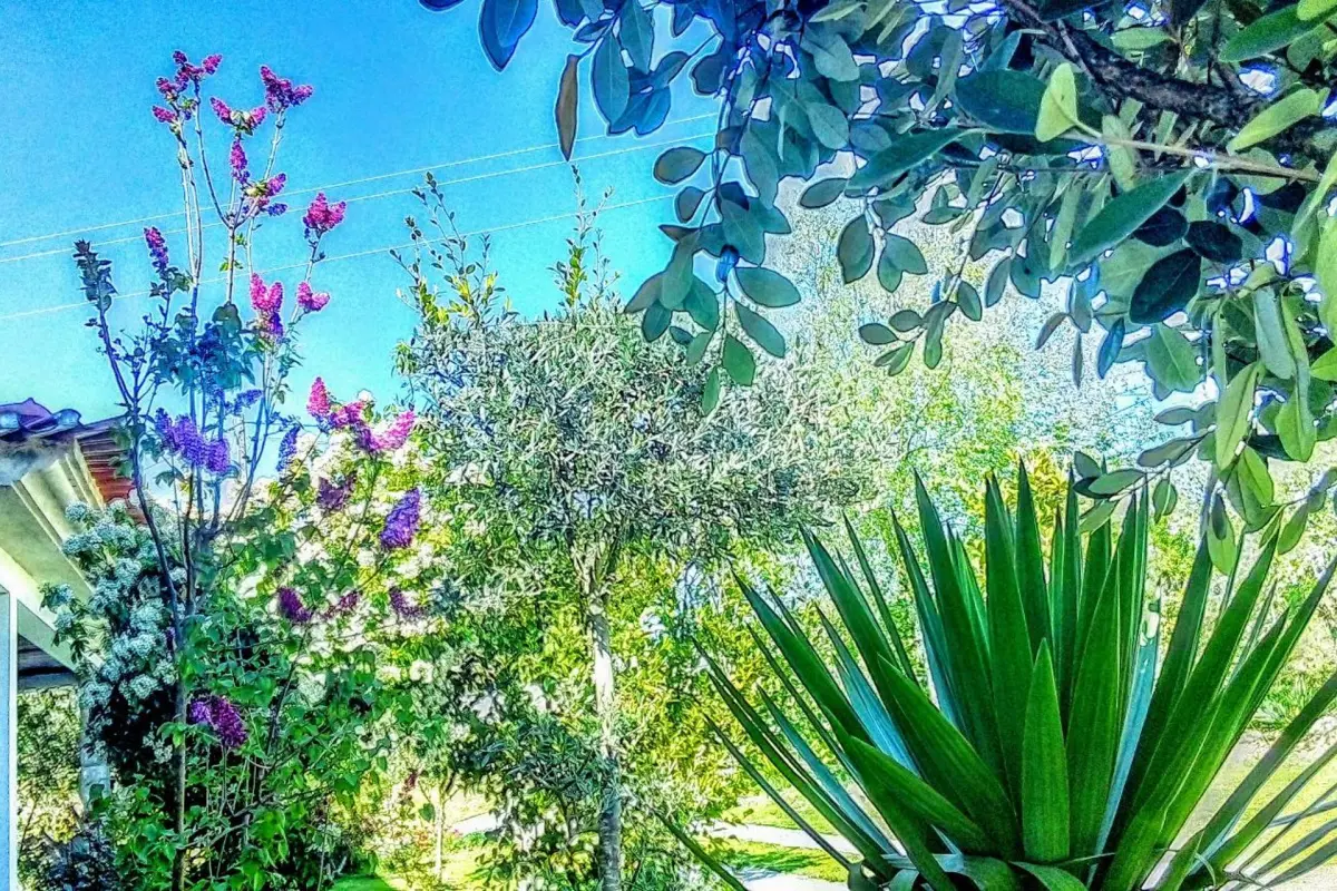 Casa Vale do Rio Ovil - Imagem 20