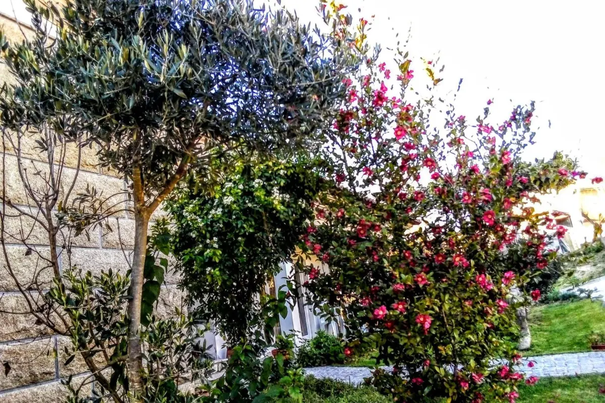 Casa Vale do Rio Ovil - Imagem 47