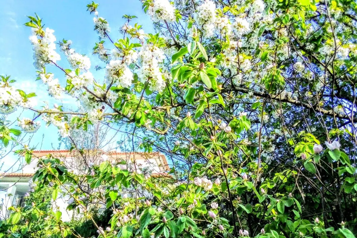 Casa Vale do Rio Ovil - Imagem 64