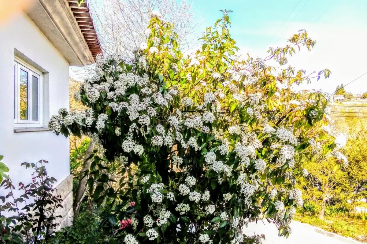 Casa Vale do Rio Ovil - Imagem 66