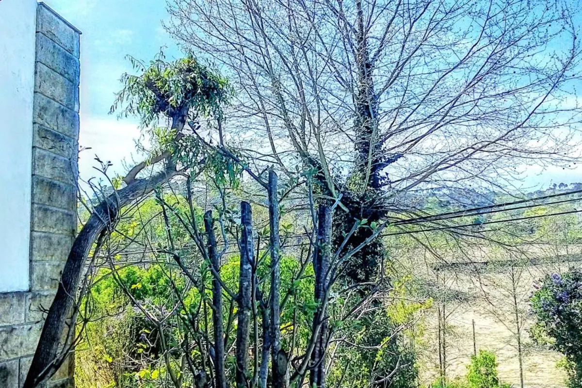 Casa Vale do Rio Ovil - Imagem 67