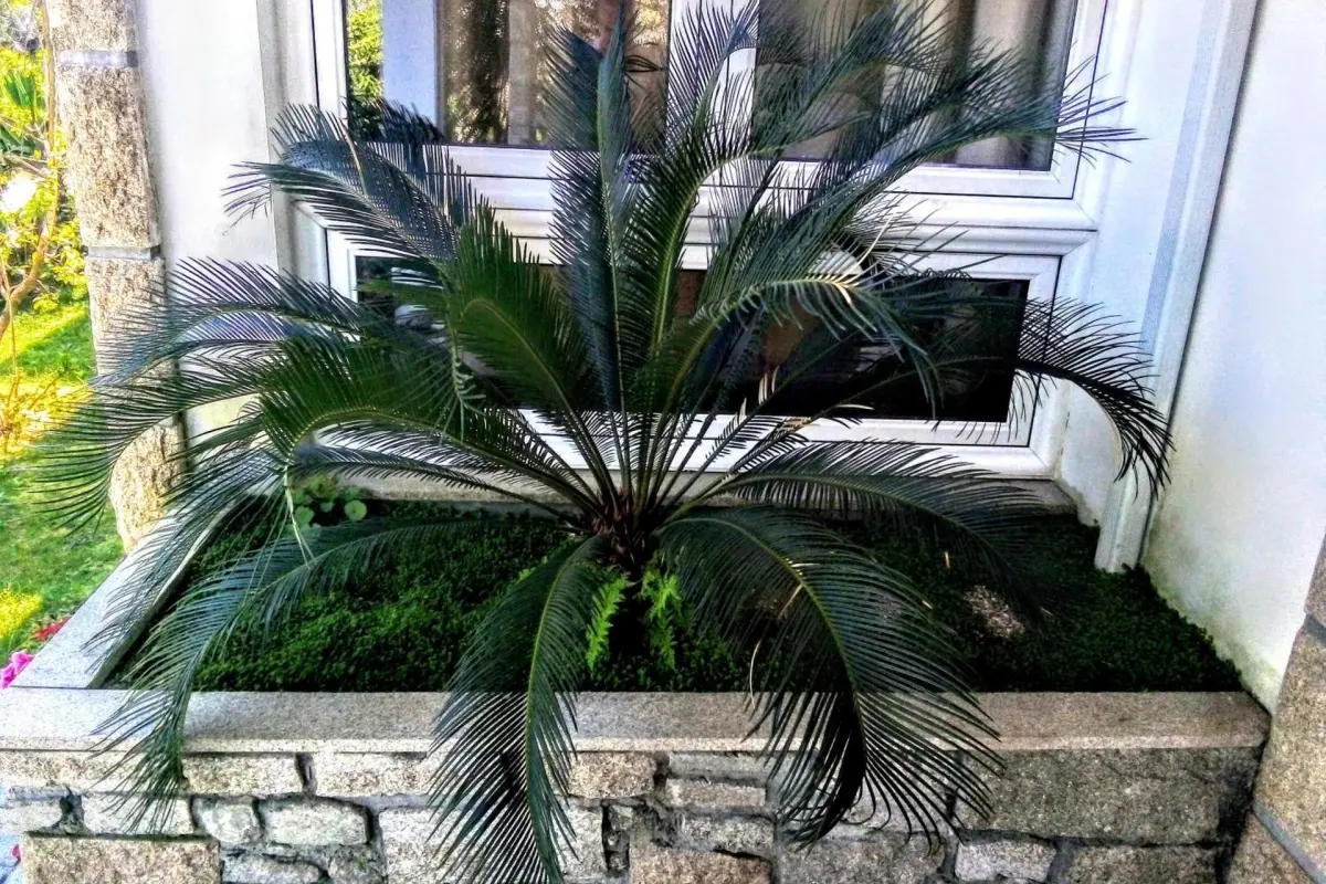 Casa Vale do Rio Ovil - Imagem 68