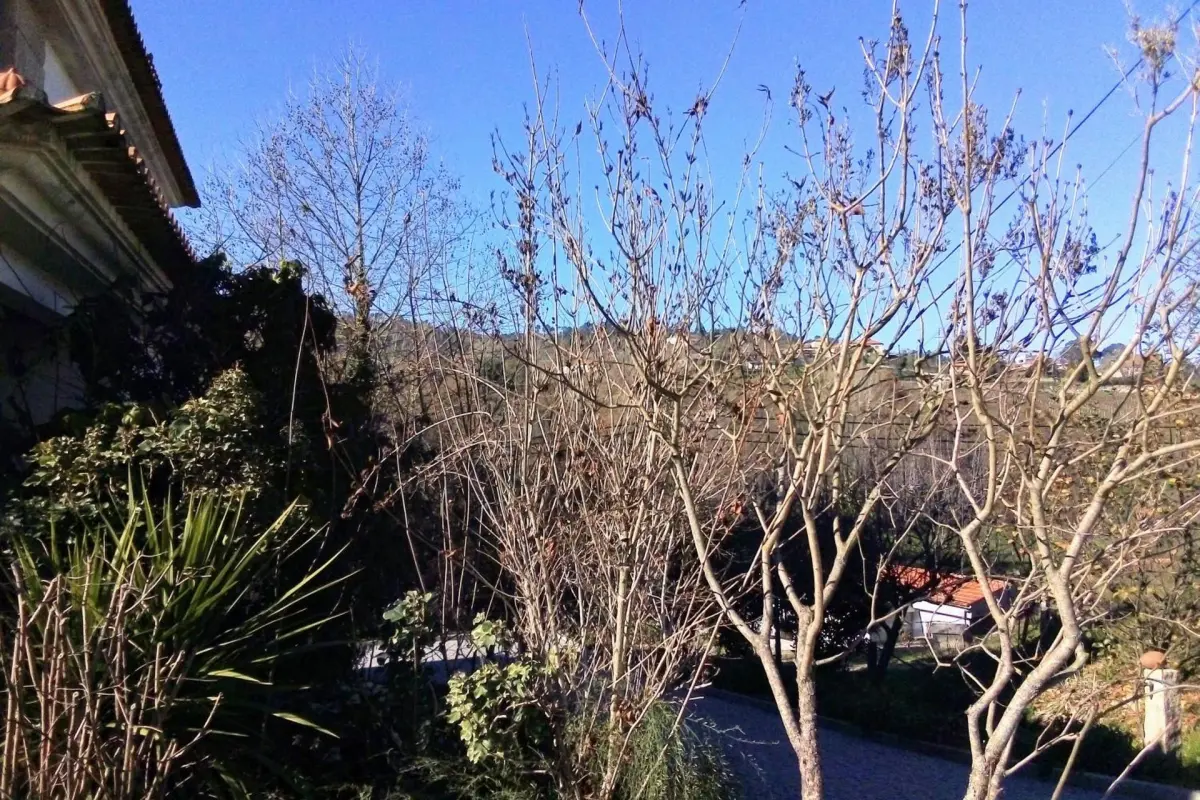 Casa Vale do Rio Ovil - Imagem 87