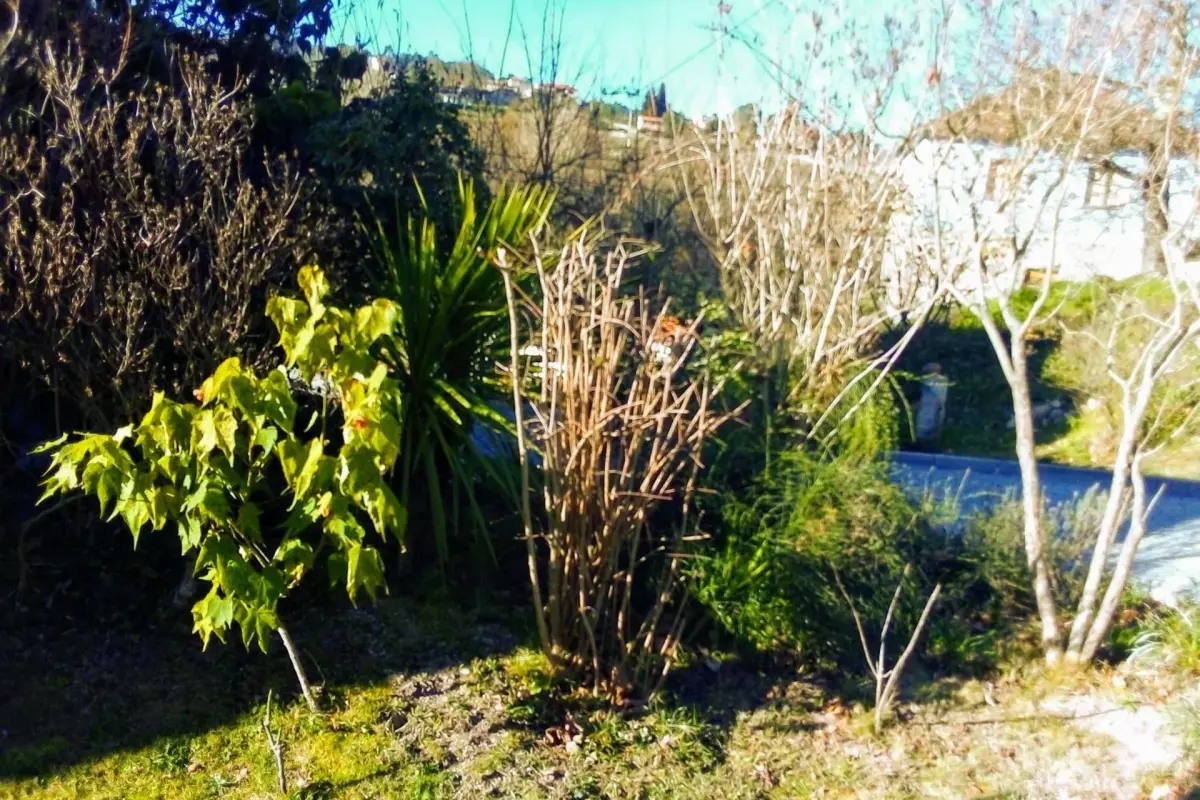 Casa Vale do Rio Ovil - Imagem 88