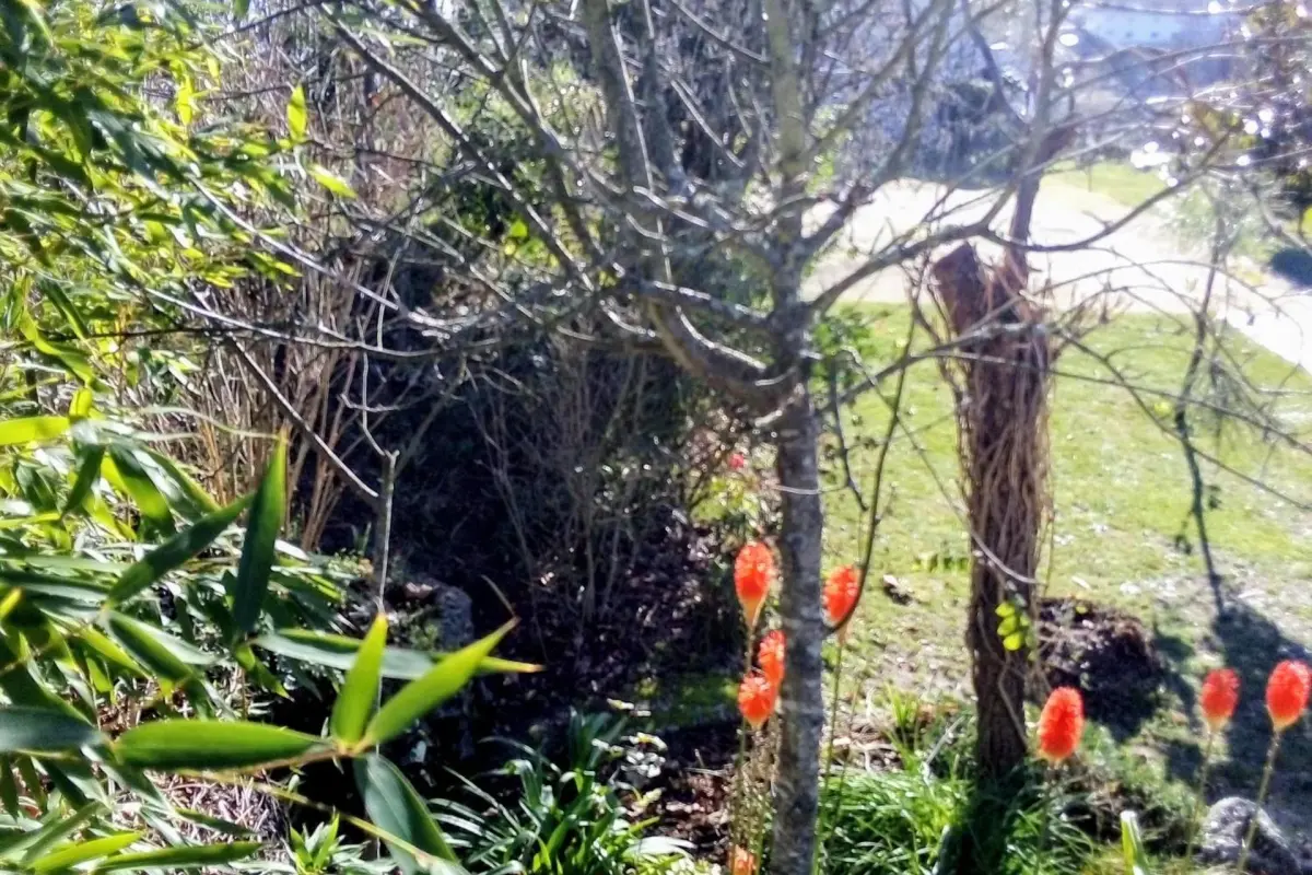 Casa Vale do Rio Ovil - Imagem 90