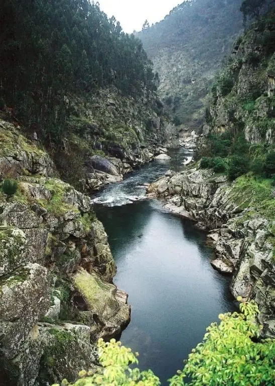 Crasto Payva Douro Nature - Imagem 38