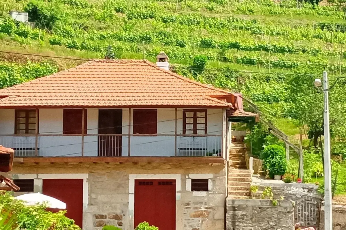 D. Maria São Pedro de Balsemão - Imagem 1