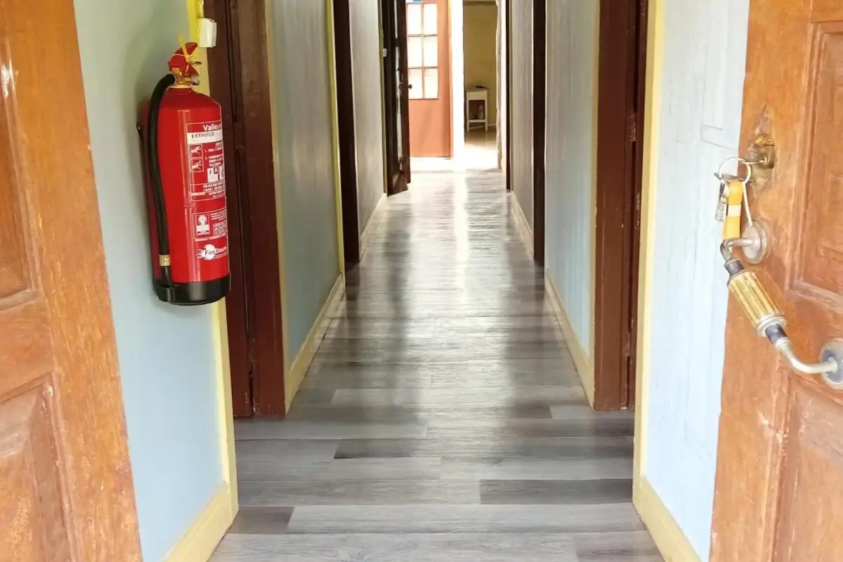 D. Maria São Pedro de Balsemão - Imagem 23