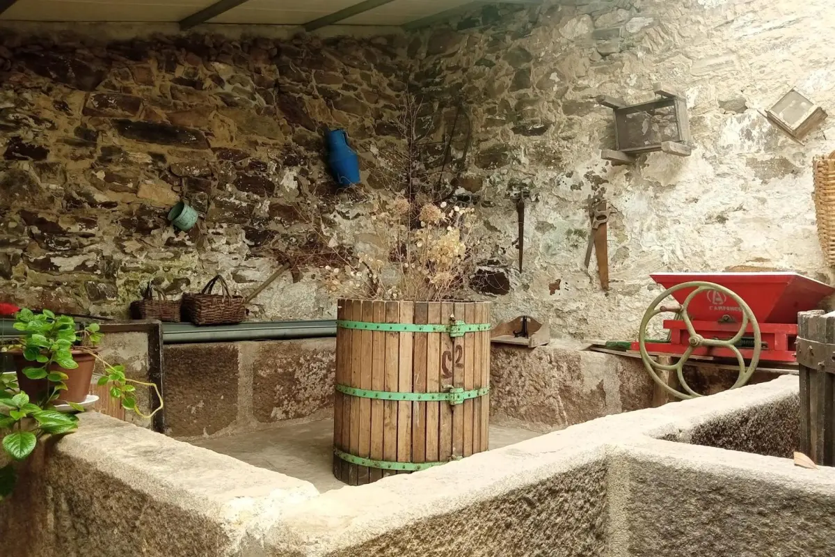 D. Maria São Pedro de Balsemão - Imagem 33