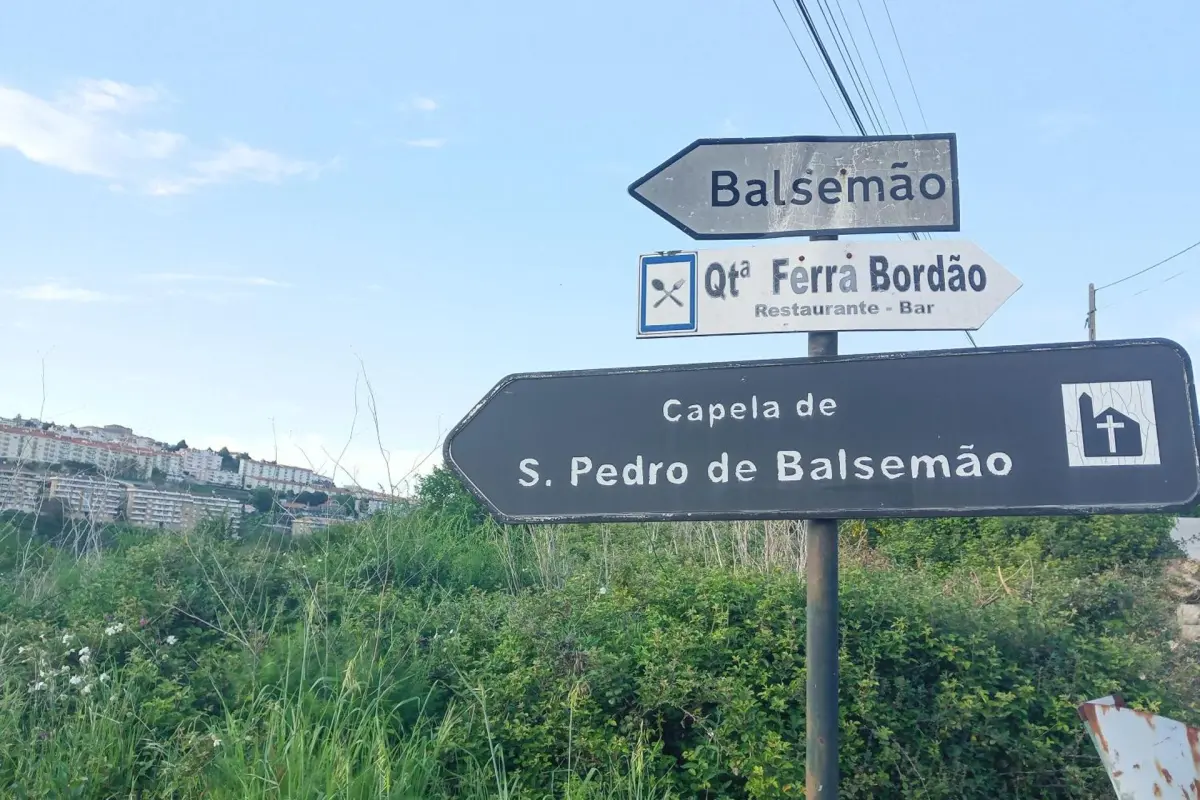 D. Maria São Pedro de Balsemão - Imagem 35
