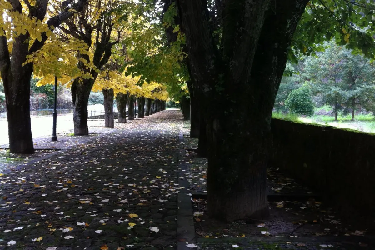 Discover the Douro Marina Hotel & SPA: The Ideal Refuge for Everyone - Imagem 34