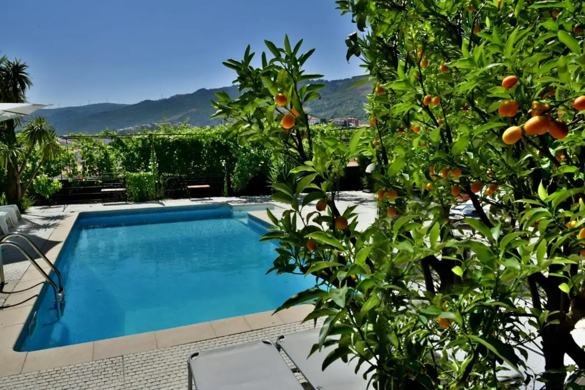 Descubra o Douro Mool Guest House: O Refúgio Perfeito para Todos - Imagem 21