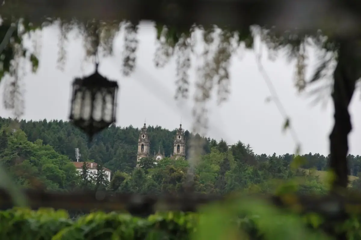 Descubra o Douro Mool Guest House: O Refúgio Perfeito para Todos - Imagem 32