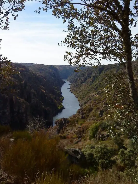 Douro Natura - Imagem 2