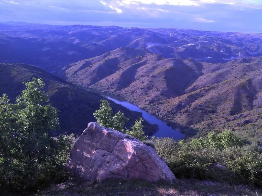 Douro Natura - Imagem 3