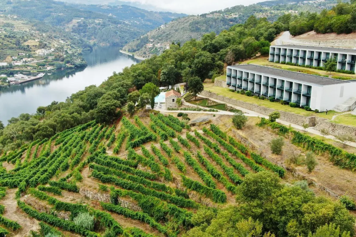 Douro Palace Hotel Resort & SPA - Imagem 14