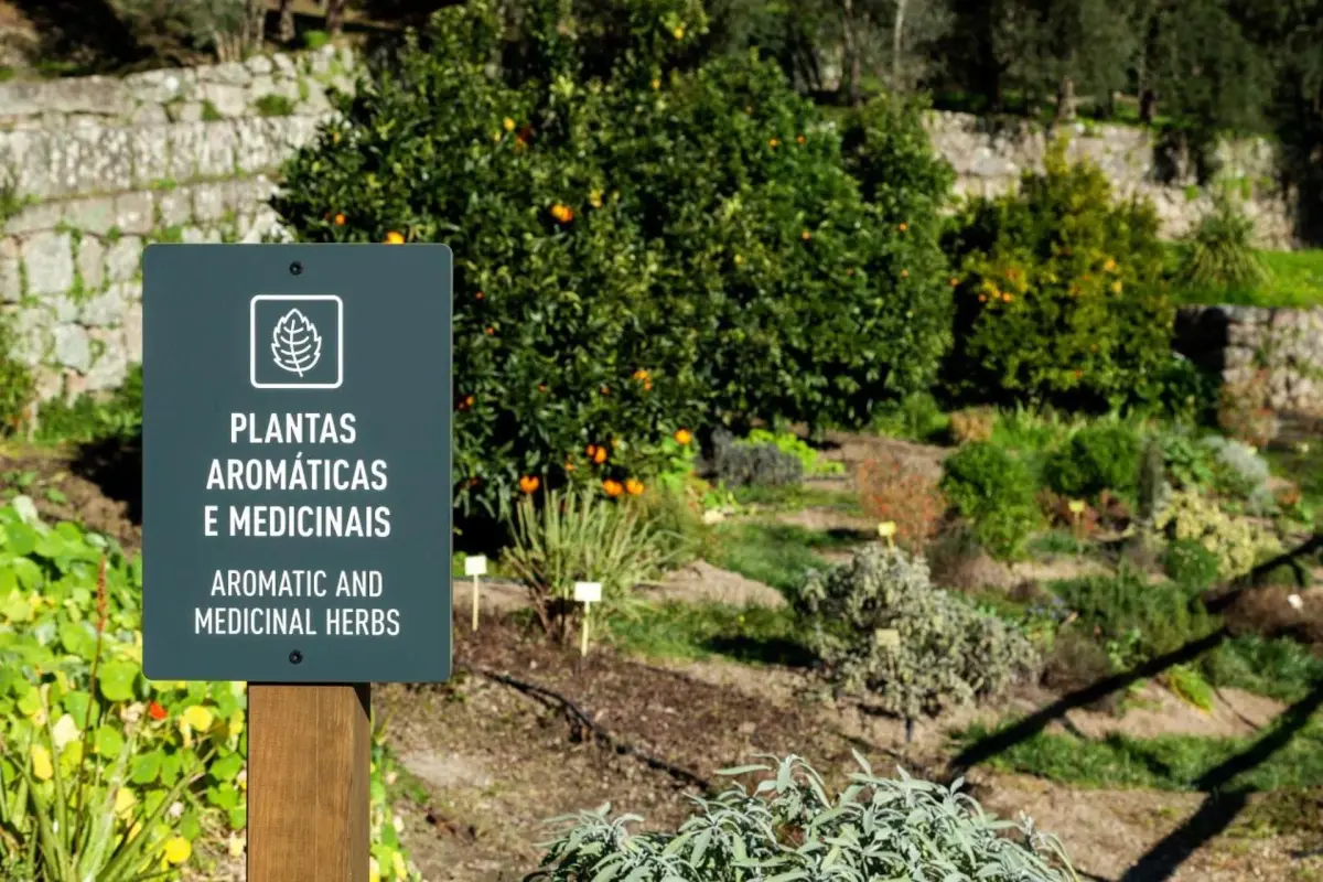 Douro Palace Hotel Resort & SPA - Imagem 34