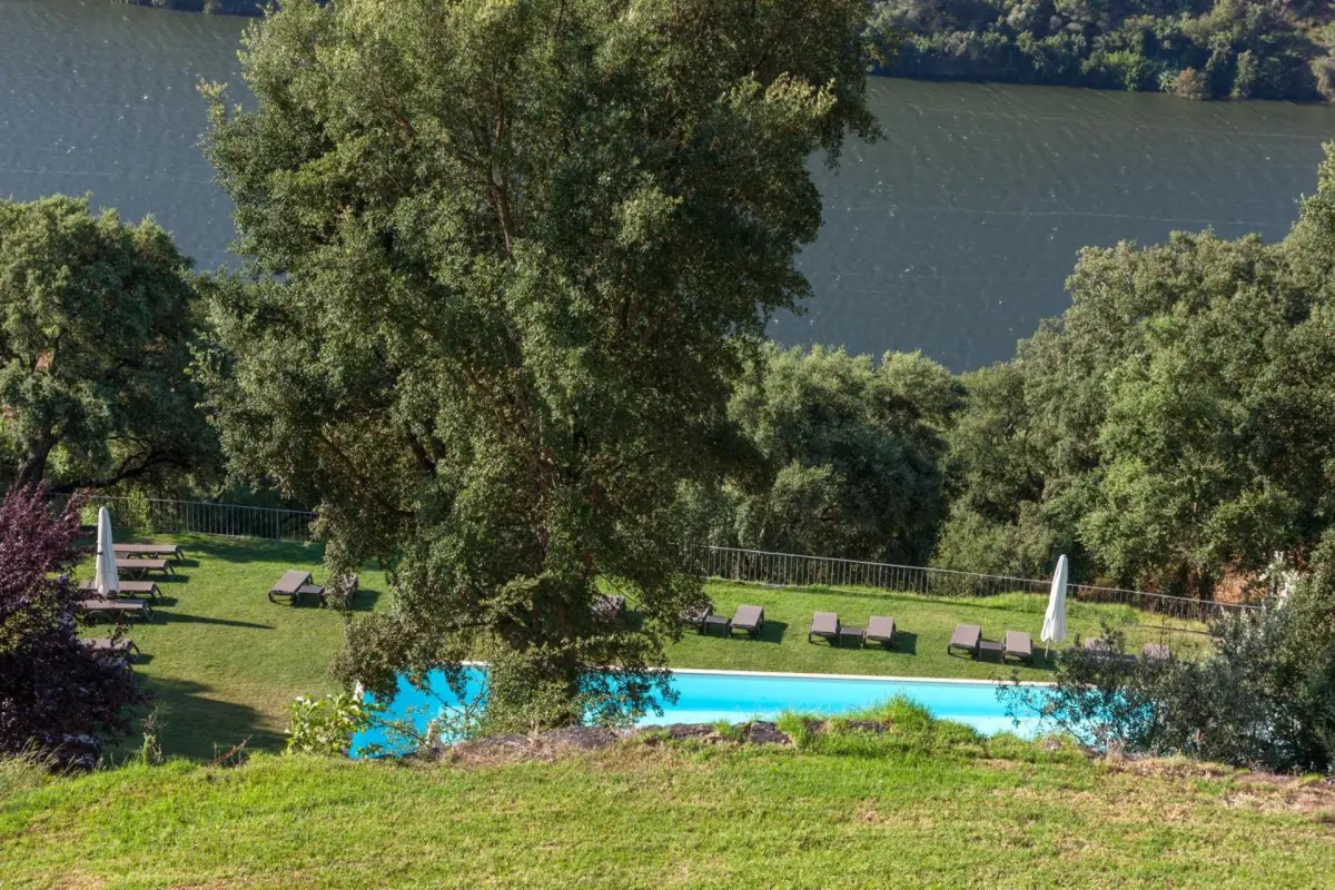 Douro Palace Hotel Resort & SPA - Imagem 39