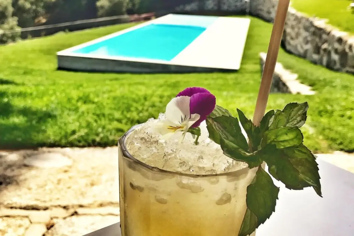 Douro Palace Hotel Resort & SPA - Imagem 43