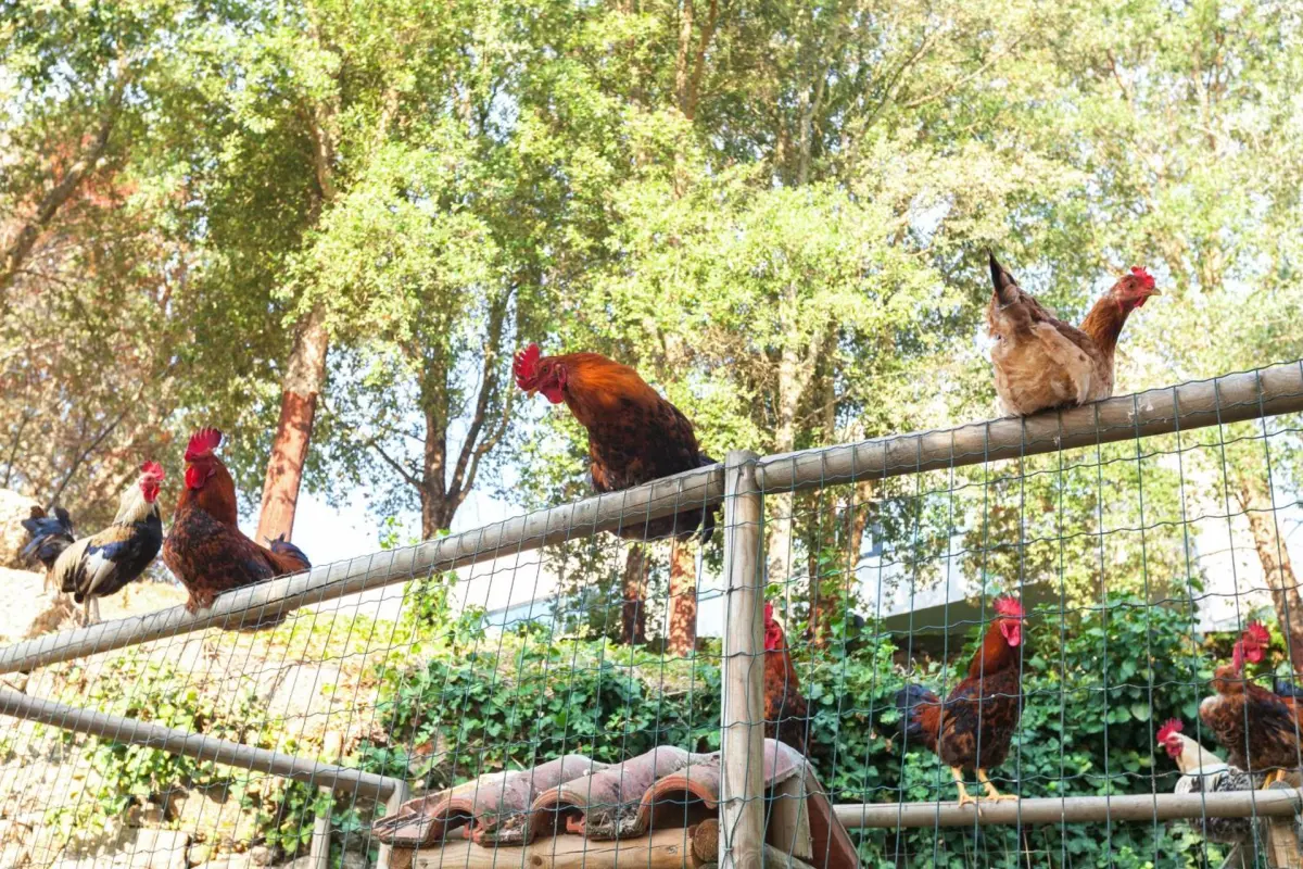 Douro Palace Hotel Resort & SPA - Imagem 70