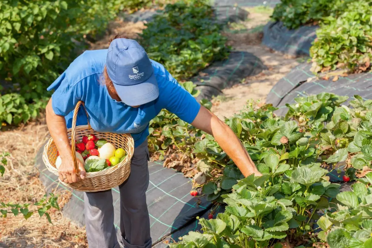 Douro Palace Hotel Resort & SPA - Imagem 75