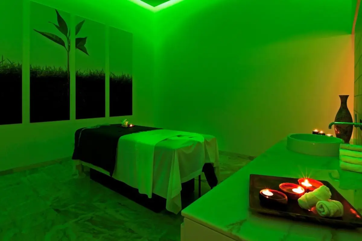 Discover the Douro Royal Valley Hotel & Spa: A Luxury Haven in the Douro Valley - Imagem 49