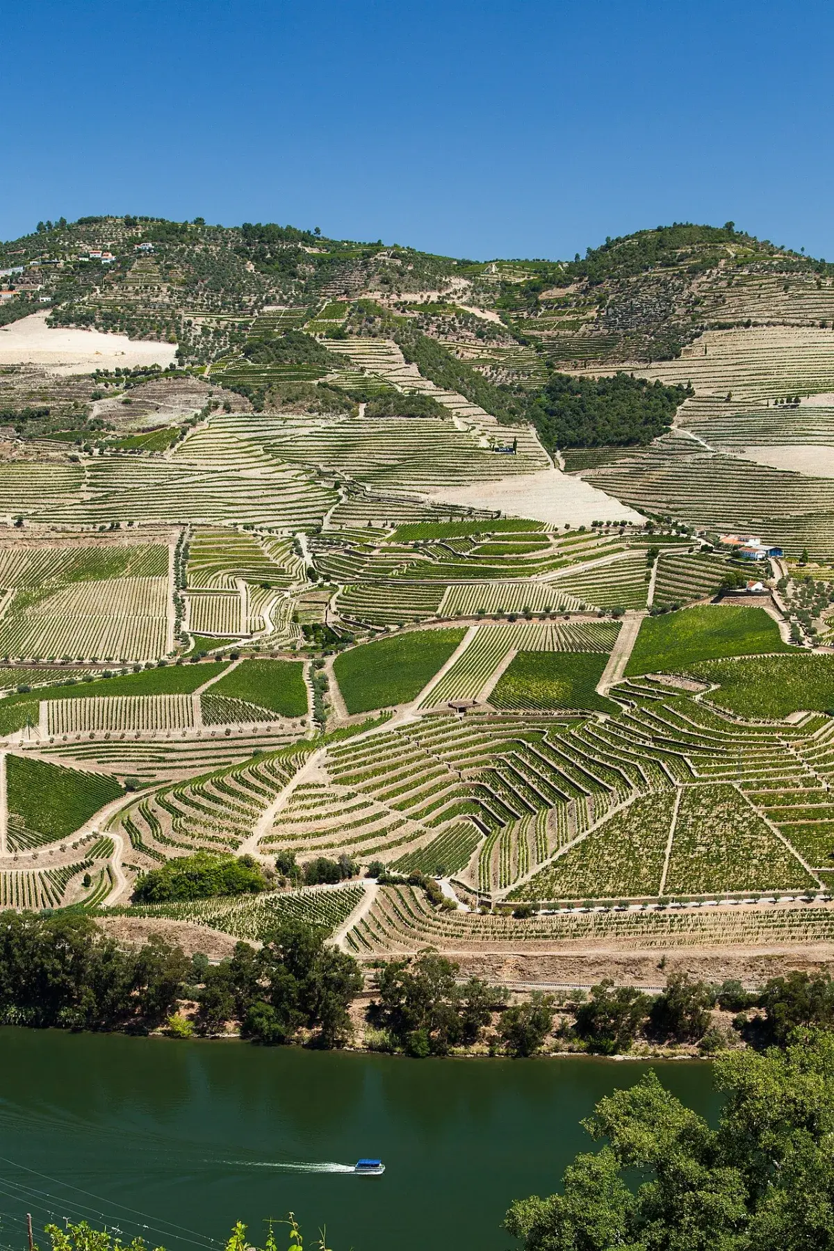 Douro Alive Festival 2026 — Peso da Régua