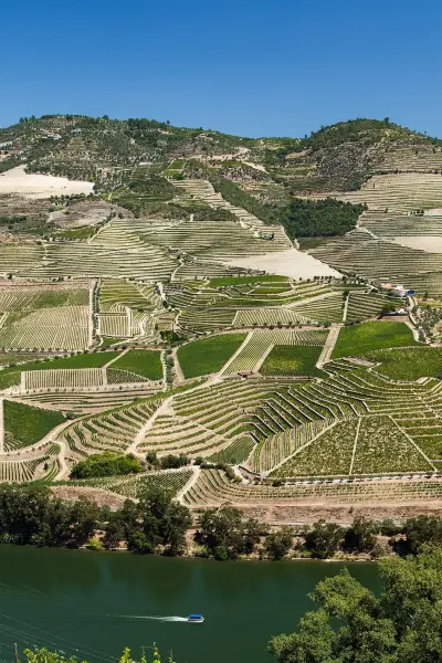 Douro Alive Festival 2026 — Peso da Régua