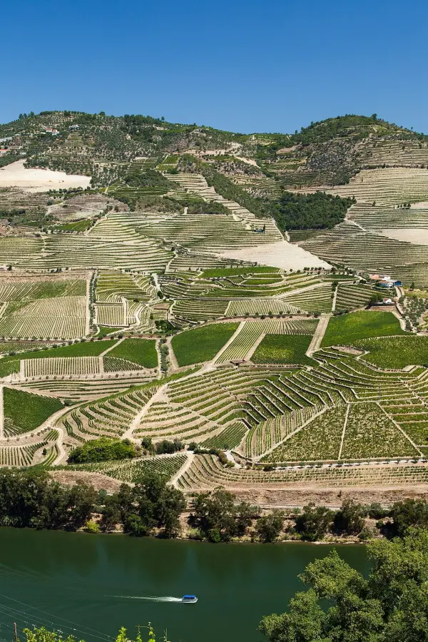 Douro Alive Festival 2026 — Peso da Régua