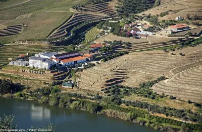 Quintas Abertas no Douro — Primavera 2026