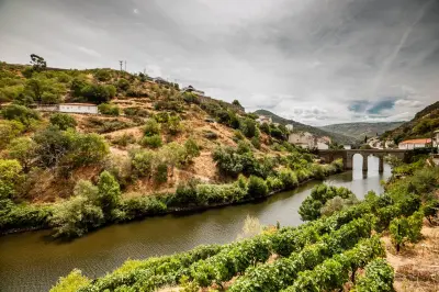 Maratona das Vinhas do Douro 2026 — Pinhão