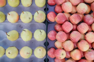 29e Foire de la Pomme, du Vin et de l'Huile d'Olive
