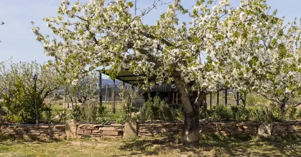 Primavera Poetica Gondomar 2026