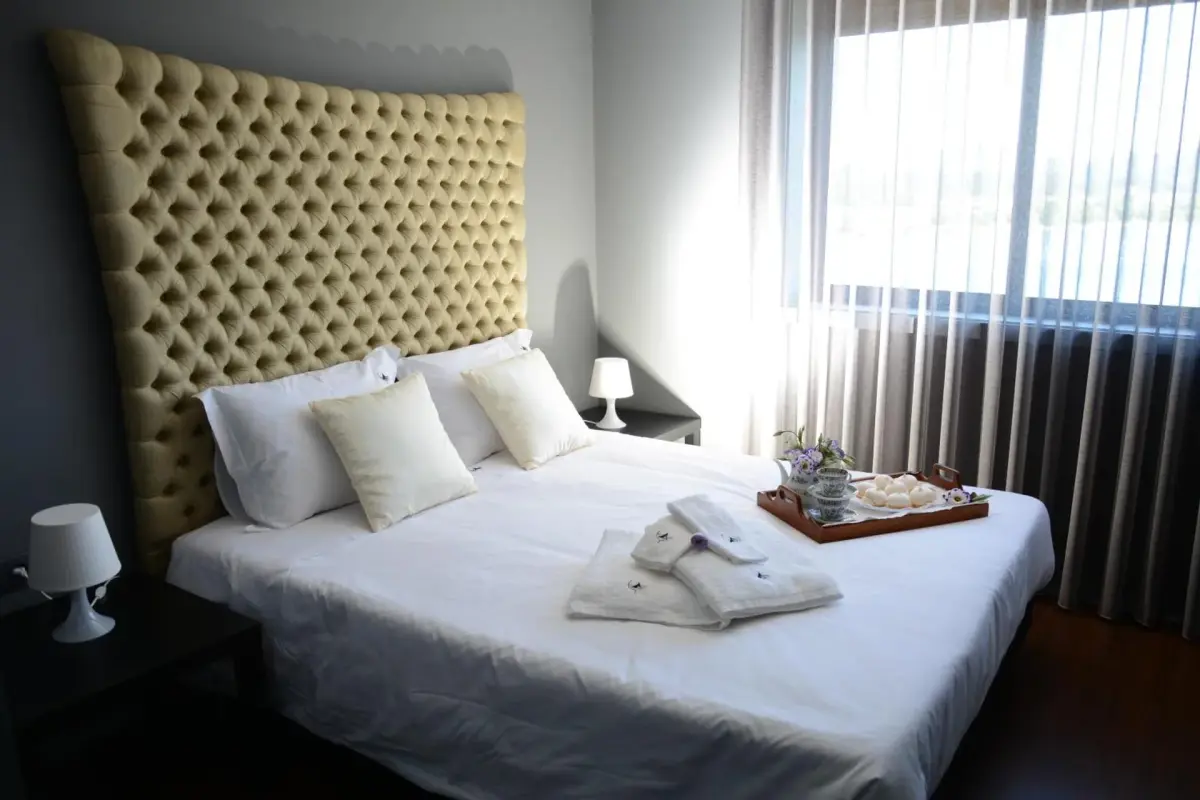 Discover the Figurino do Douro: A Unique Hospitality Experience - Imagem 30