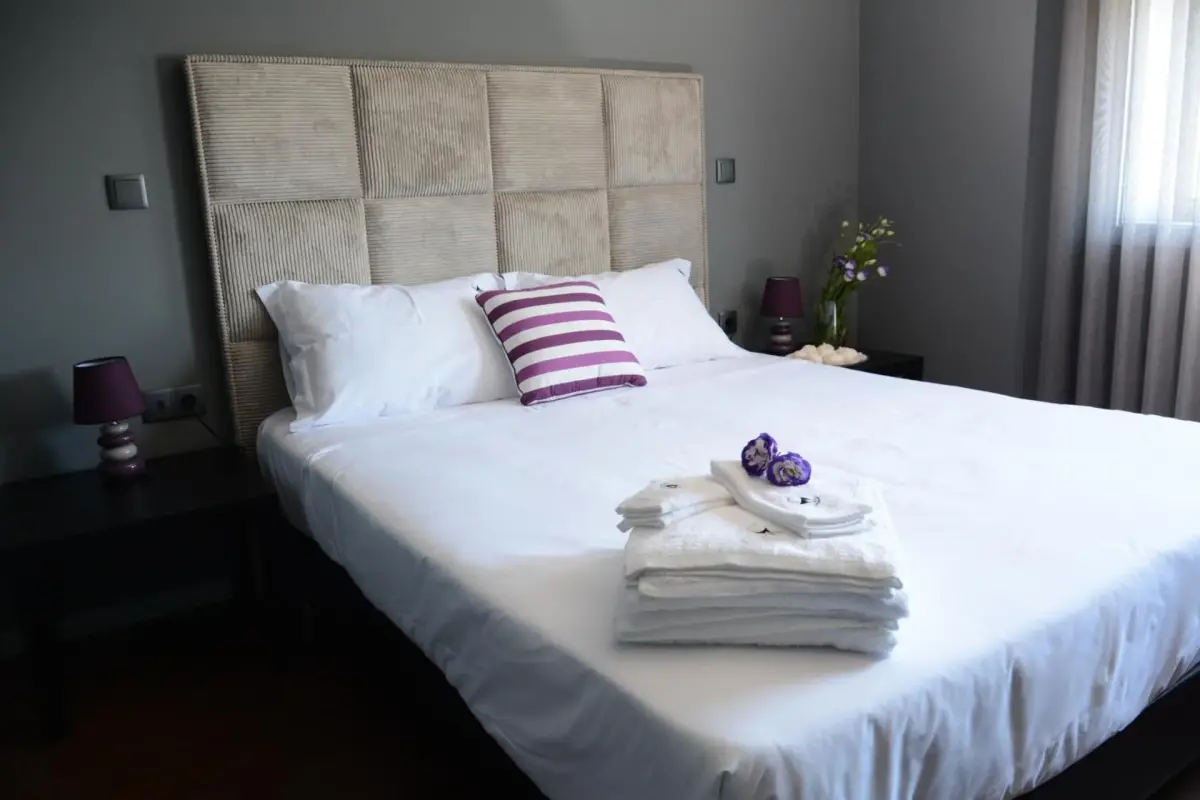 Discover the Figurino do Douro: A Unique Hospitality Experience - Imagem 4