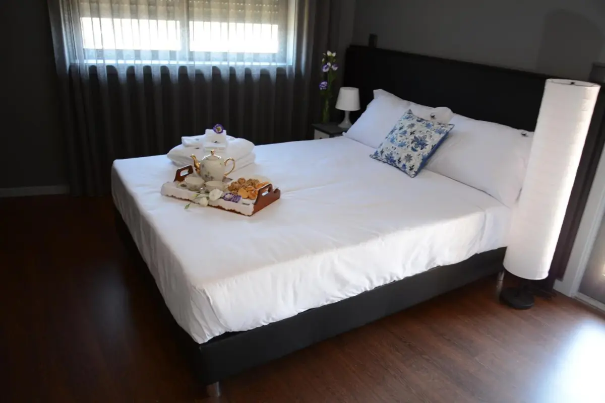 Discover the Figurino do Douro: A Unique Hospitality Experience - Imagem 33