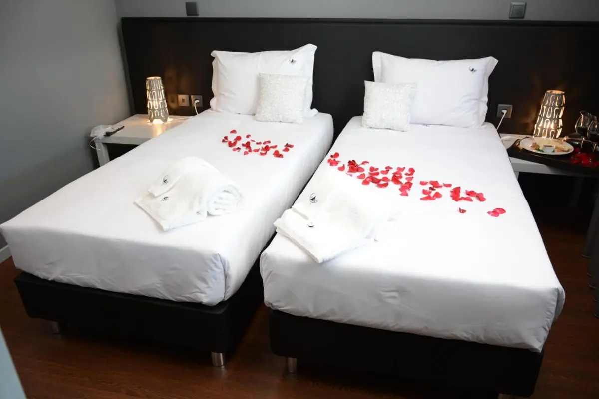 Discover the Figurino do Douro: A Unique Hospitality Experience - Imagem 5