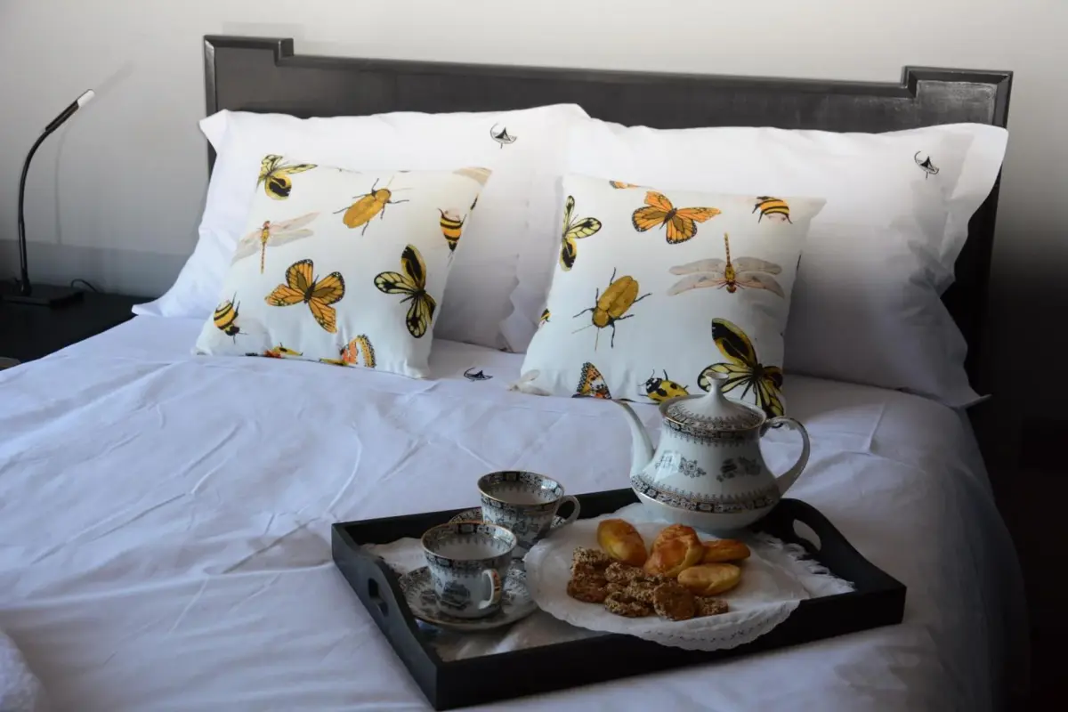 Discover the Figurino do Douro: A Unique Hospitality Experience - Imagem 54