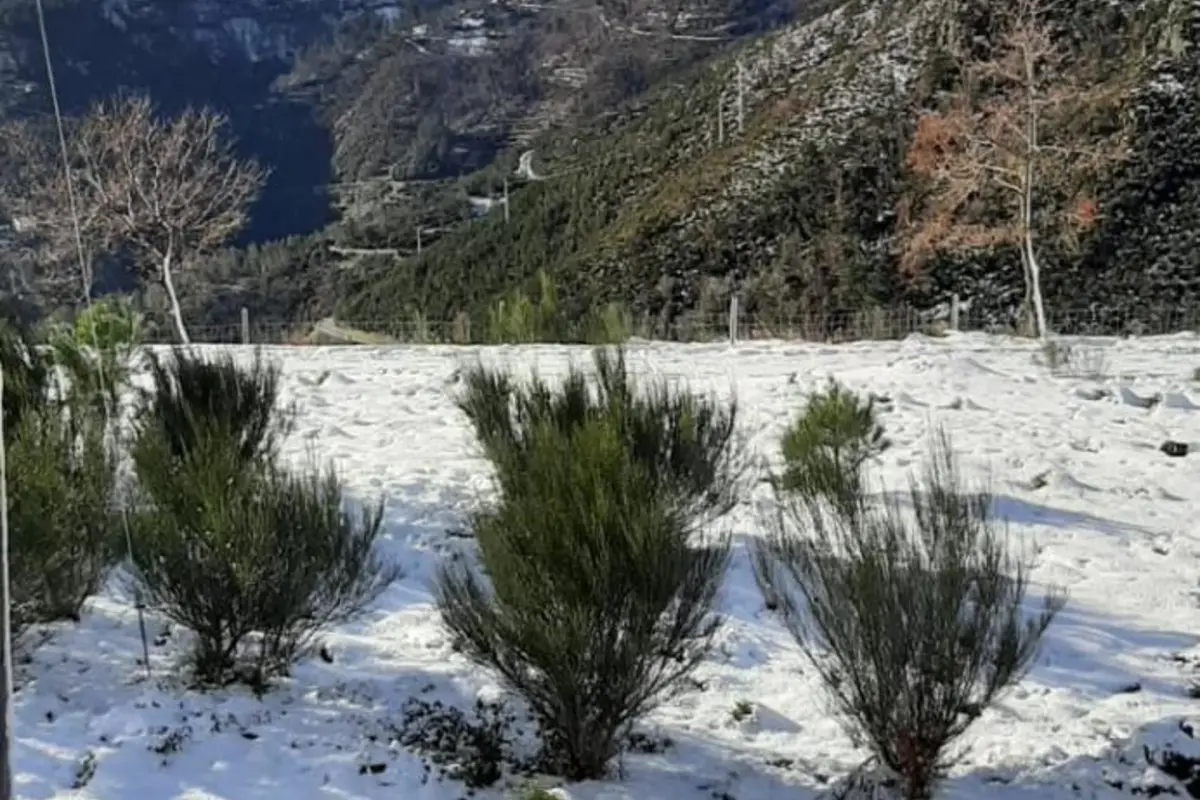 Discover Gite Cantinho Davô: An Unforgettable Experience in Hospitality - Imagem 17