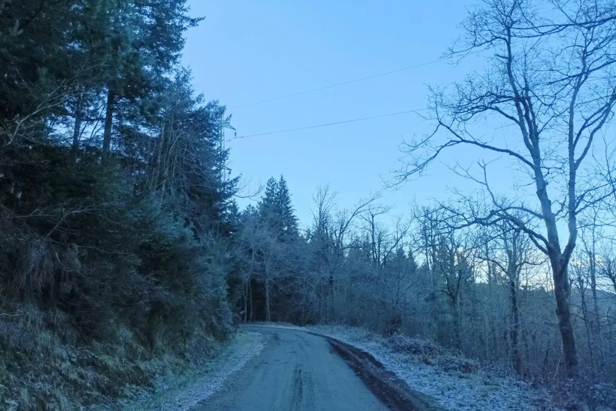 Discover Gite Cantinho Davô: An Unforgettable Experience in Hospitality - Imagem 19