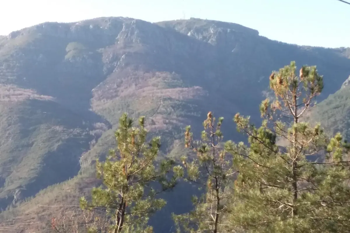 Discover Gite Cantinho Davô: An Unforgettable Experience in Hospitality - Imagem 22