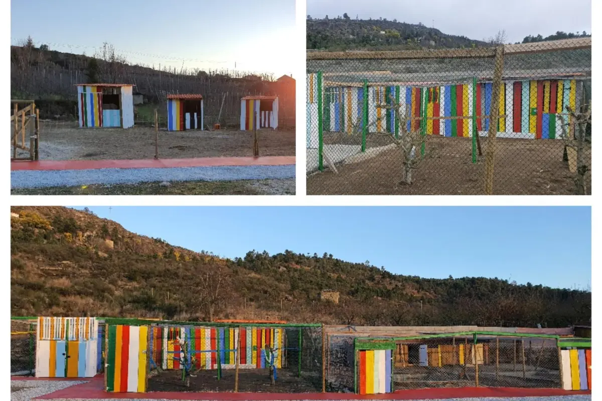 Discover Gojim Rural House: A Unique Accommodation Experience - Imagem 42