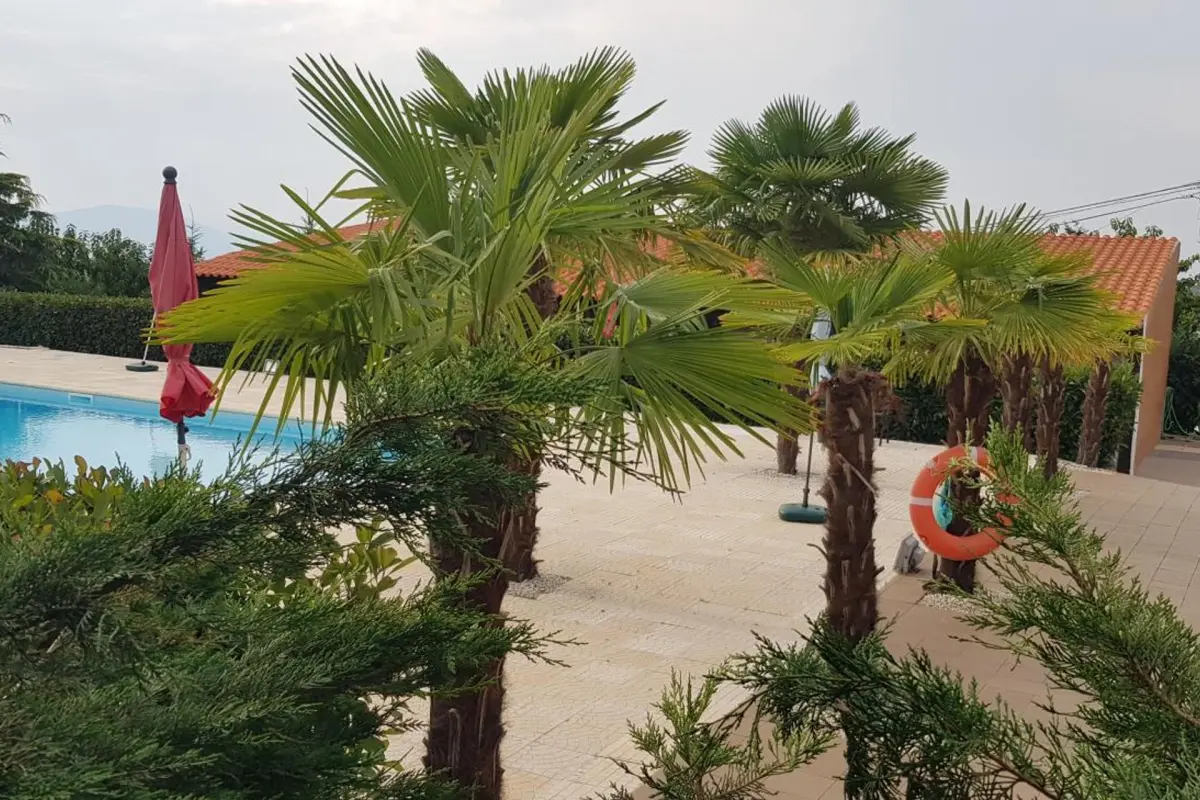 Discover Gojim Rural House: A Unique Accommodation Experience - Imagem 48